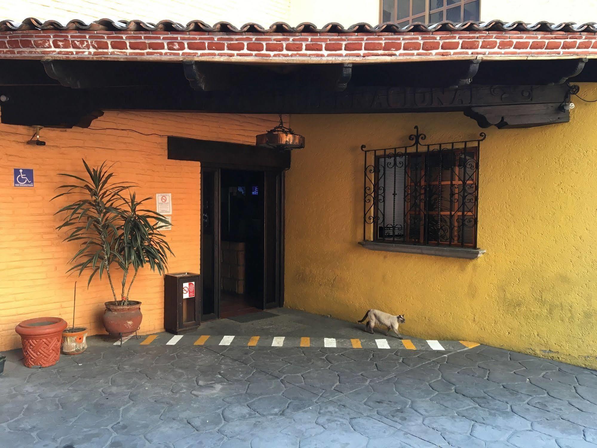 Hotel Playa Internacional 墨西哥城 外观 照片